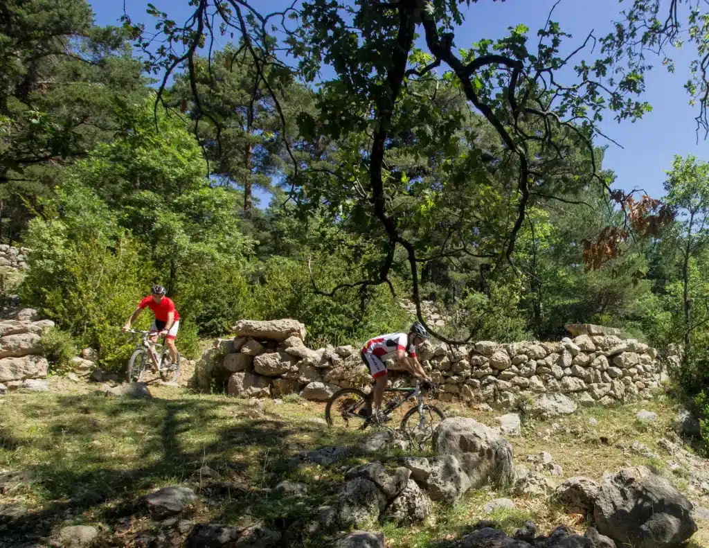Ciclista de muntanya