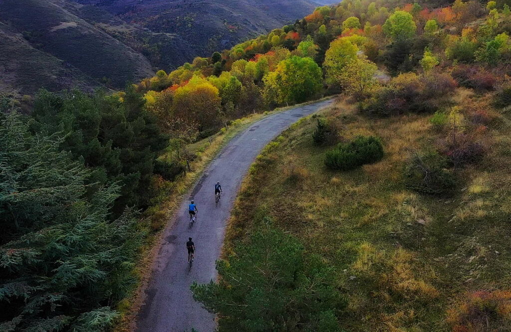 Ciclistes de carretera